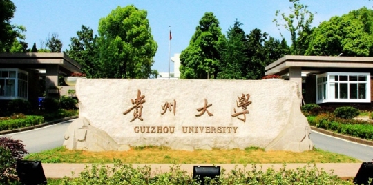 貴州大學是211大學還是985大學