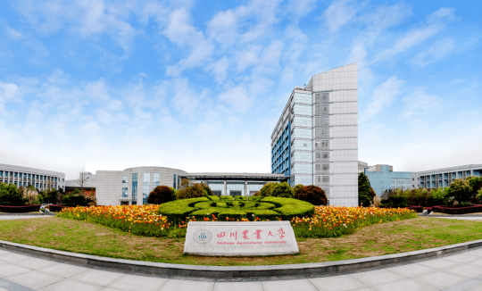 四川農業大學是985大學還是211大學