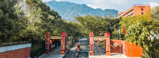 四川外國語大學是985還是211
