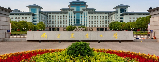 南農是211還是985大學